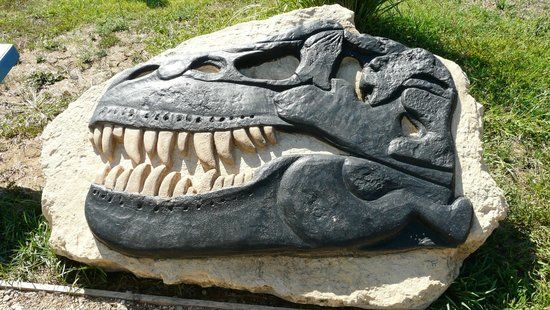 Parco Paleontologico DINOsardo