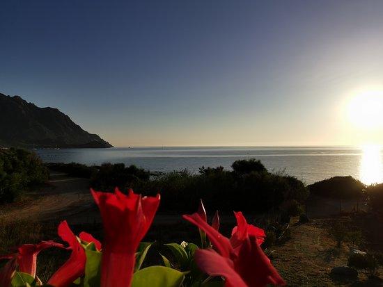 SHARDAN Lounge-Bar &