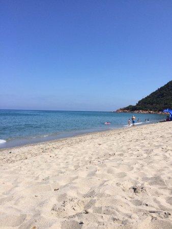 Foxi Chiosco Bar Ristorante Pizzeria