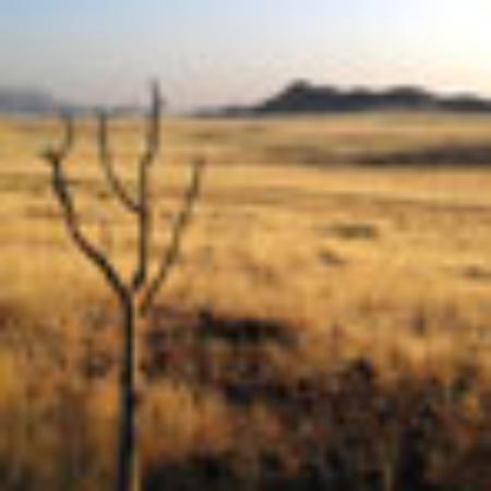 Pizzeria Enoteca L'Autentica