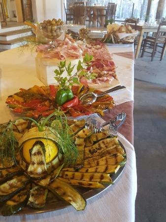 Tartarughino Kids and Grill