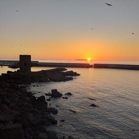 La Torre Bar & Bistrot