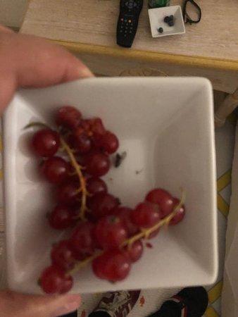 Romazzino Restaurant