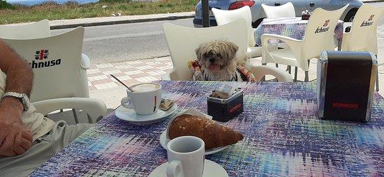 Bar gelateria creperia Il Golfo