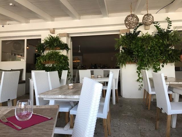 Bambusa Porto Rotondo