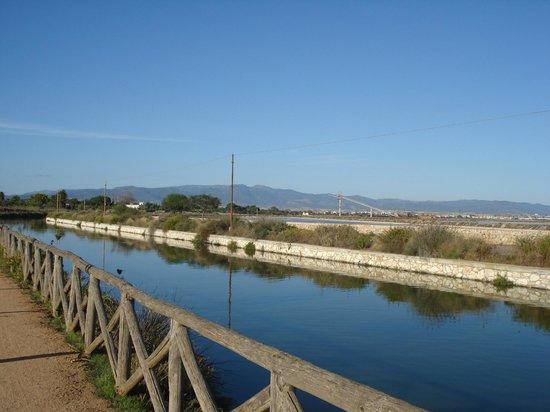 Parco Naturale Molentargius-Saline