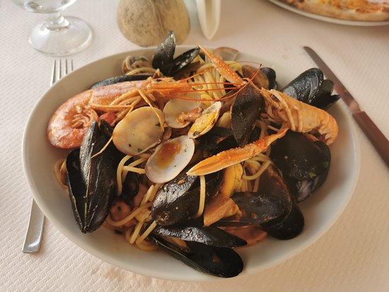 Pizzeria Insalateria IL Tucano