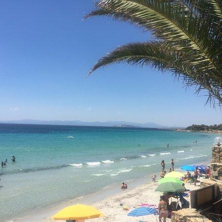 Pini e Mare