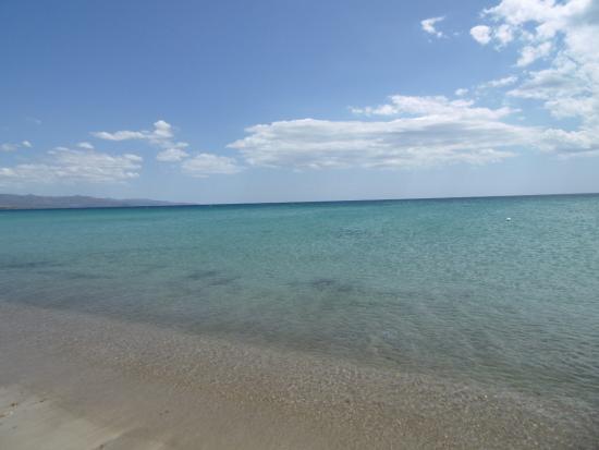 CHIRINGUITO Easy Playa