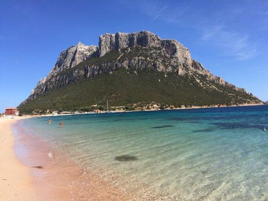 AQA 21 Cooking & Cocktail