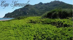 Capo Sferracavallo