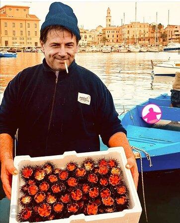 Marcello Slow Catering