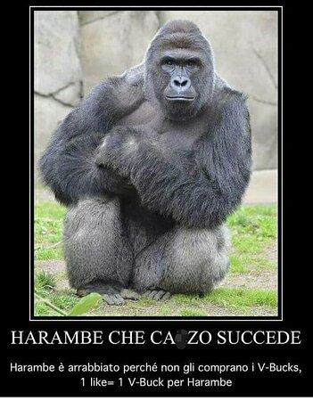 Pizzeria La Lanterna