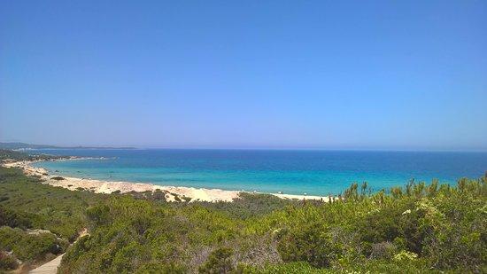 Spiaggia di Vignola