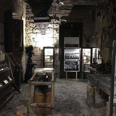 Antica Mascalcia
