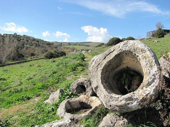 La foresta pietrificata di Martis