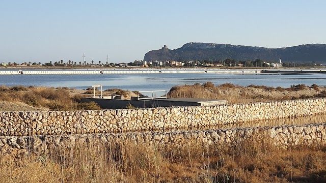 Parco Naturale Molentargius Saline