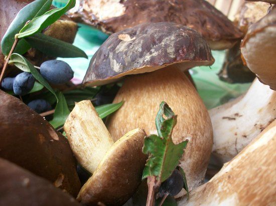 Ristorante Da Leonardo