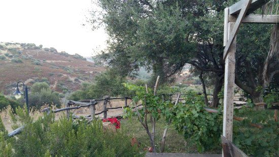 Agriturismo la mindaredda