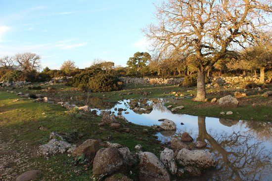 Parco della Giara Tuili