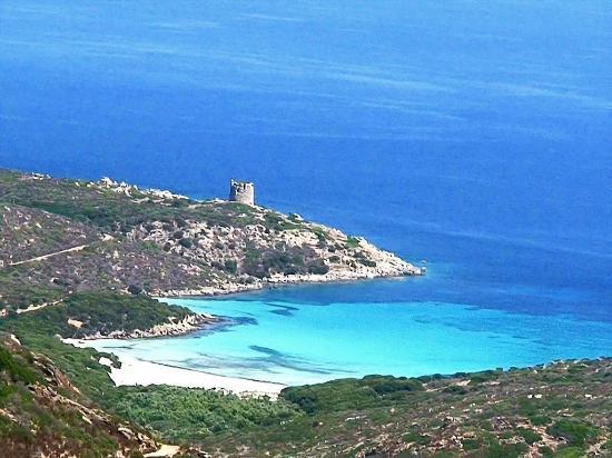 Escursioni a Parco Nazionale dell'Asinara